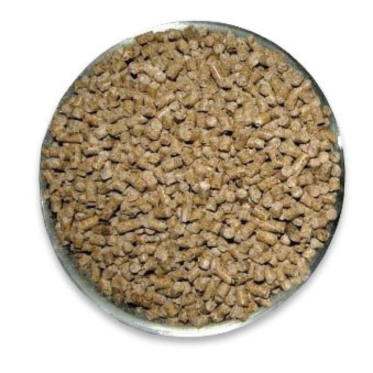 n1-granule